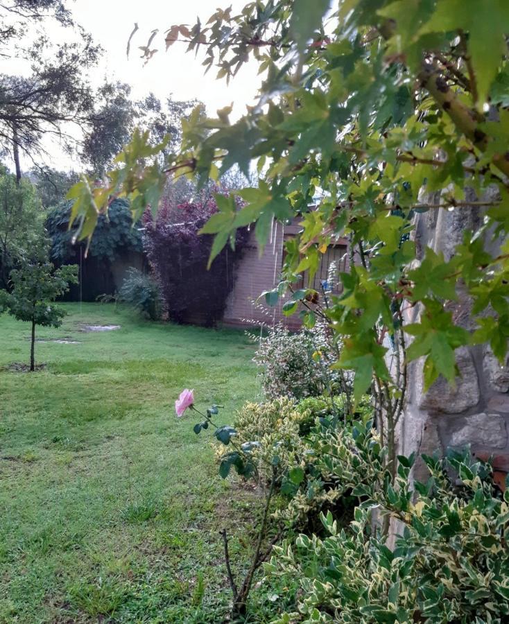 Cabanas Farah Estancia Vieja Ideal Para 2 A 3 Huespedes วิญาการ์ลอสปาซ ภายนอก รูปภาพ