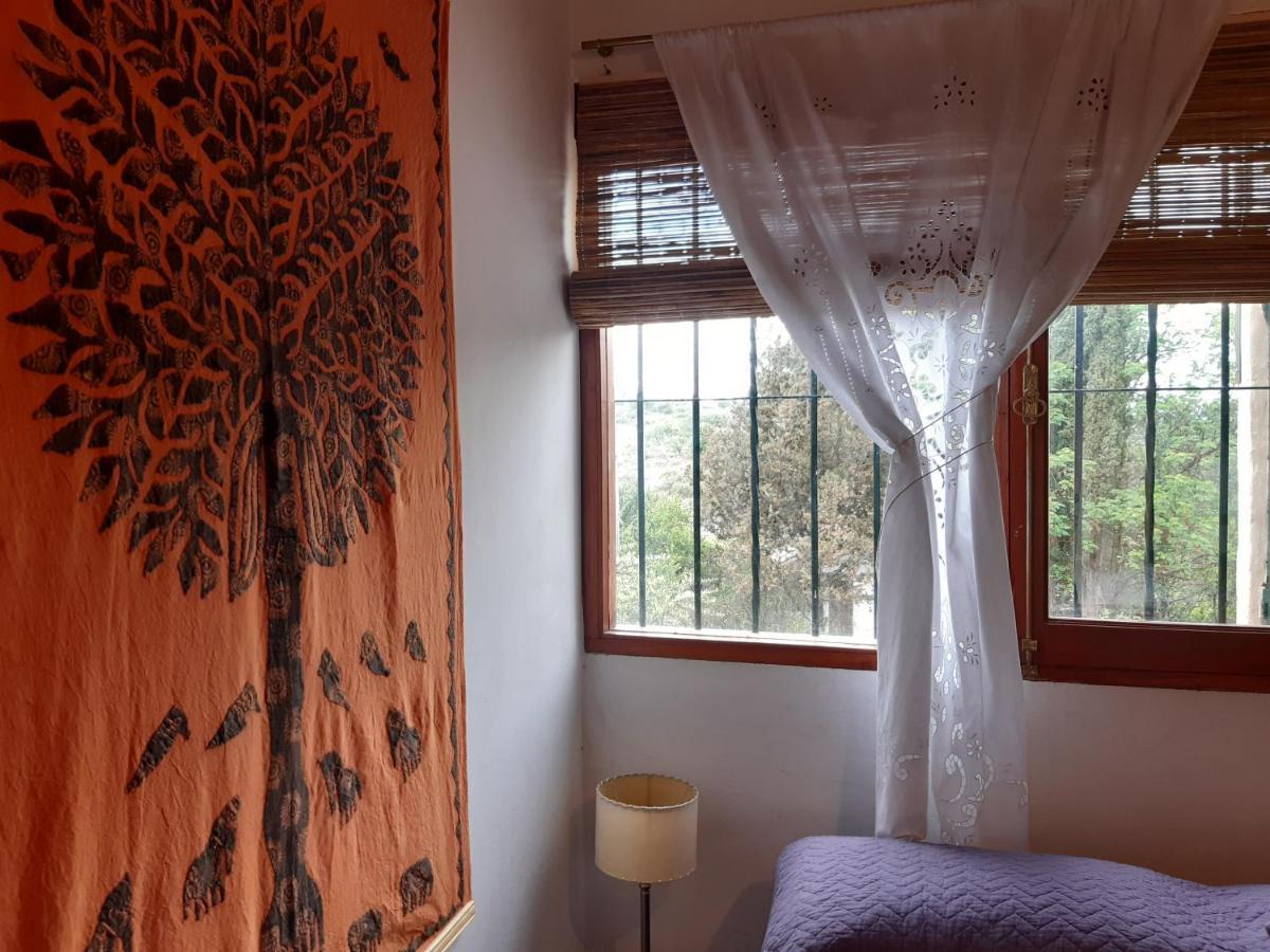 Cabanas Farah Estancia Vieja Ideal Para 2 A 3 Huespedes วิญาการ์ลอสปาซ ภายนอก รูปภาพ