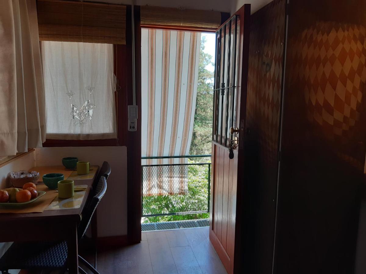 Cabanas Farah Estancia Vieja Ideal Para 2 A 3 Huespedes วิญาการ์ลอสปาซ ภายนอก รูปภาพ